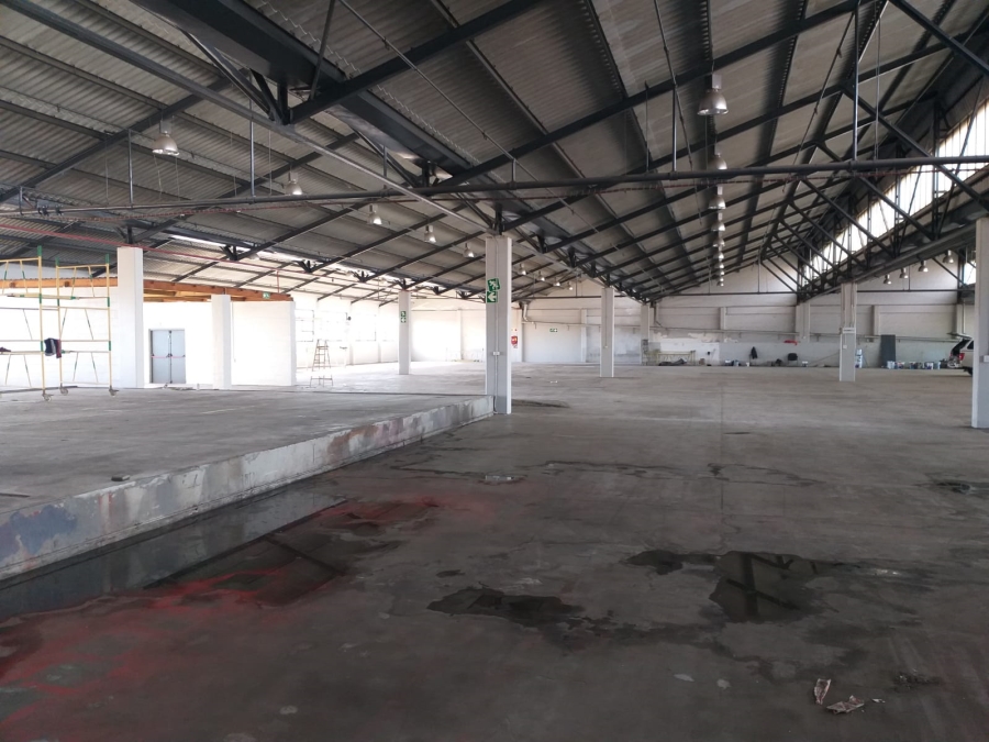 To Let Commercial Property for Rent in Paarden Eiland Western Cape